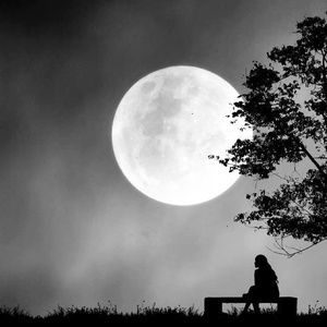 Meet your Posher, Tricia